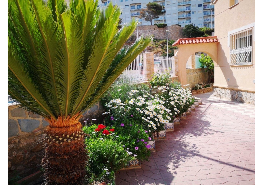 Luksusowa willa  100 m od plaży Faro de Cullera